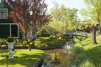 Canals bordering the gardens of the traditional Dutch houses - Thumbnail