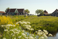 Botteghe e negozi immersi nella natura - Zaandam, Paesi Bassi