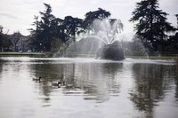 Estanque del Giardino della Fortezza - Zaandam, Países Bajos