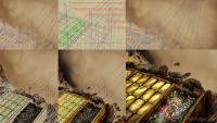 The Count of Monte Cristo - Gold chest, perspective in Krita - Thumbnail