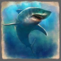 Dessin de requin blanc - illustration numérique (Krita) - Thumbnail