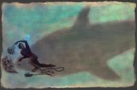 Diver under the shadow of the shark - 20000 Leagues Under the Seas - Thumbnail