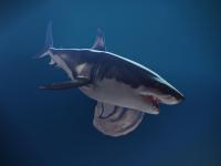 Tiburón blanco 3D - 20 Mil Leguas de Viaje Submarino (Blender) - Thumbnail