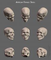 African Female Skull - Thumbnail
