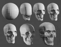 Skull Sculpting Process | Blender 3D