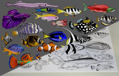 Traditional Ink drawing, digitally colored in Krita