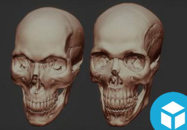 Human Skulls Viewer