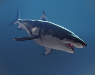 White Shark Digital Sculpture | Made in Blender