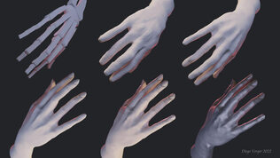 Female Hand Digital Sculpture | Blender