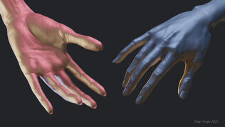 Female Hand Digital Sculpture | Blender